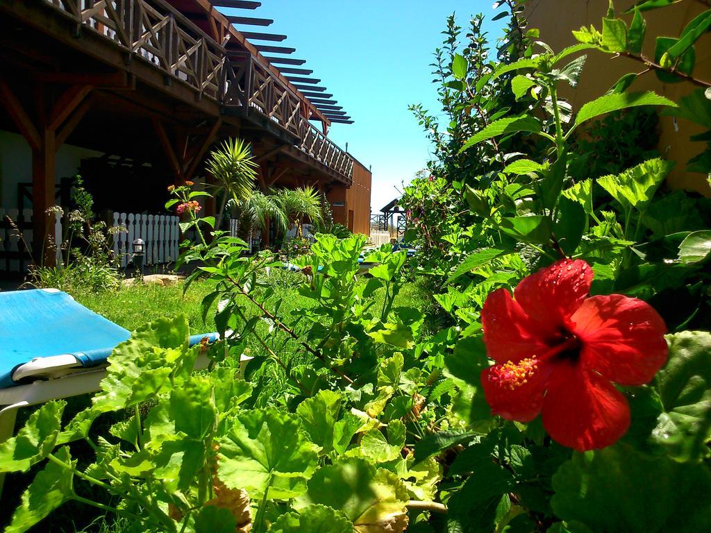 Hostal Playa Mazagon Exterior photo